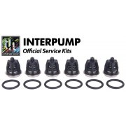 Interpump Service/Repair Kit 1
